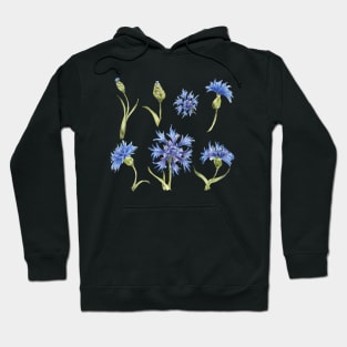 set of blu flowers Hoodie